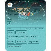 MesoReef DAO at ETH Denver 🌊🐚🦑✨