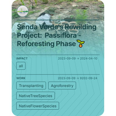 Senda Verde's Rewilding Project:  Passiflora - Reforesting Phase🌱