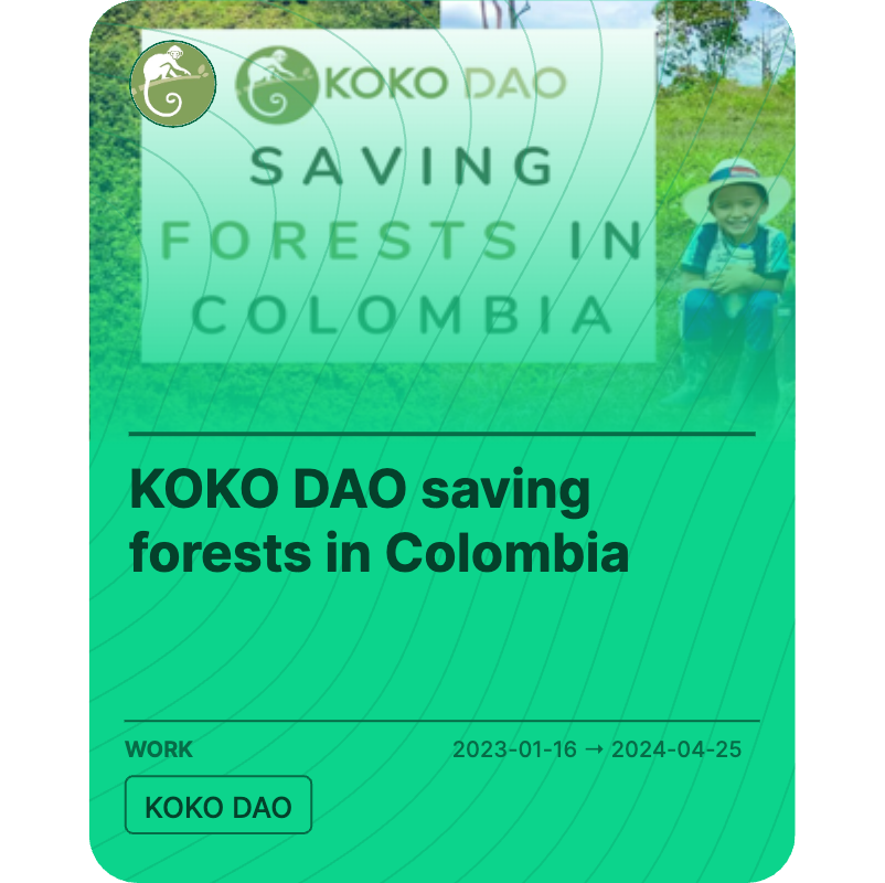 KOKO DAO saving forests in Colombia