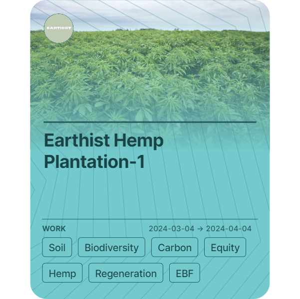 Earthist Hemp Plantation-1